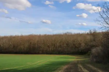 Eladó mezőgazdasági ingatlan, Iregszemcse 30000 m² 3.3 M Ft